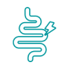 funcionamnto intestino